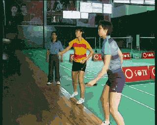 羽毛球小动作与大动作,羽毛球的动作有哪些