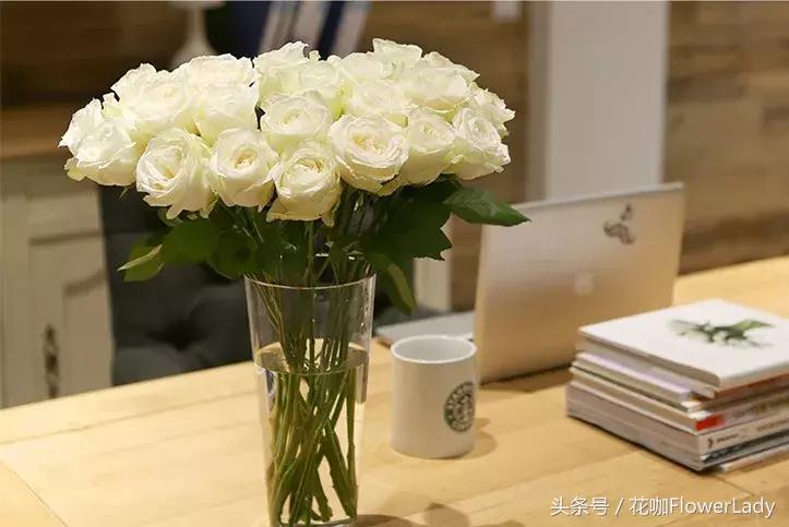 插花初学者入门需要准备什么,新手入门插花课