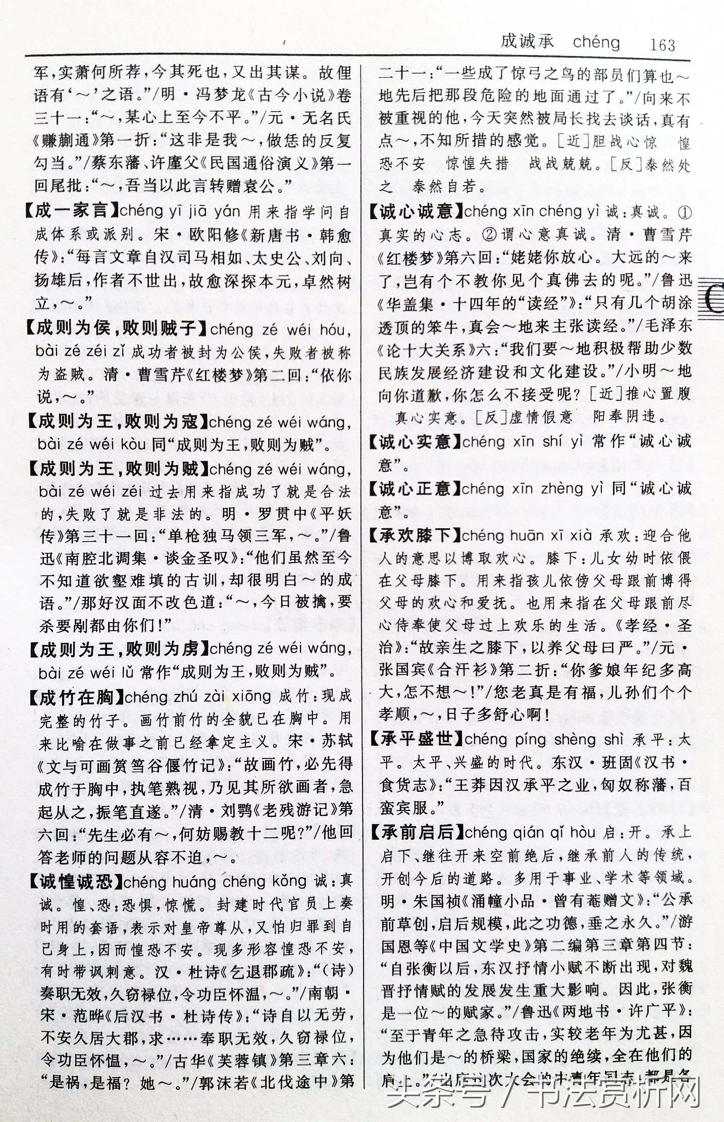 诚字硬笔书法练字,诚字的硬笔书法练习