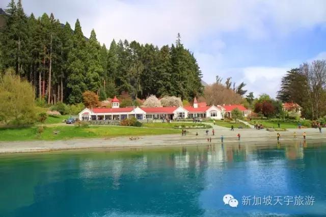 新西兰纯净之旅,10天时间旅游攻略