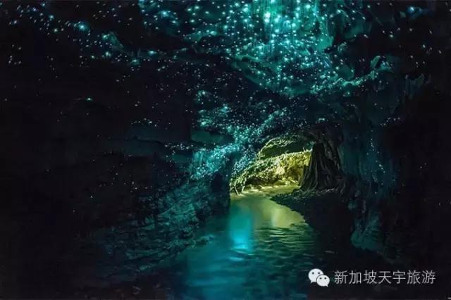 新西兰纯净之旅,10天时间旅游攻略