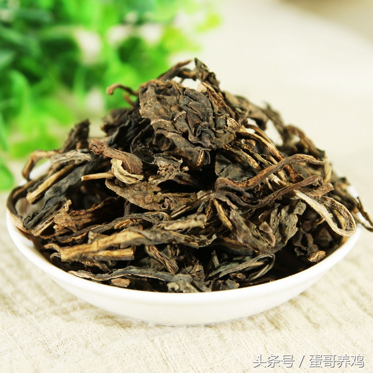 养鸡秘诀老兽医留下二十味中药,养鸡最经典的五种草药