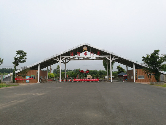 洛阳13万私家庭院,洛阳30万以内带花园