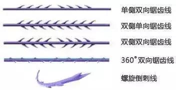 埋蛋白线有什么用,脸上埋蛋白小线真的紧致吗