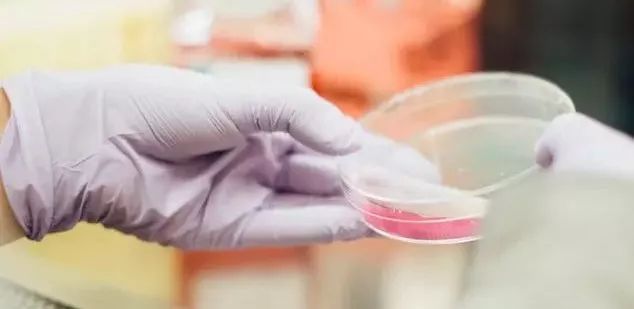 你也在为牙齿黑黄所烦恼着吗