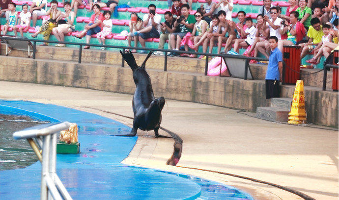 暑假应该让孩子补课还是出去旅游,暑假孩子去封闭式补习班