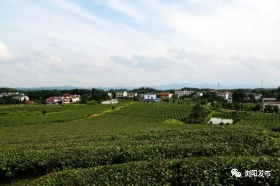 浏阳经开区最新项目进展,即将落户浏阳经开区的大项目