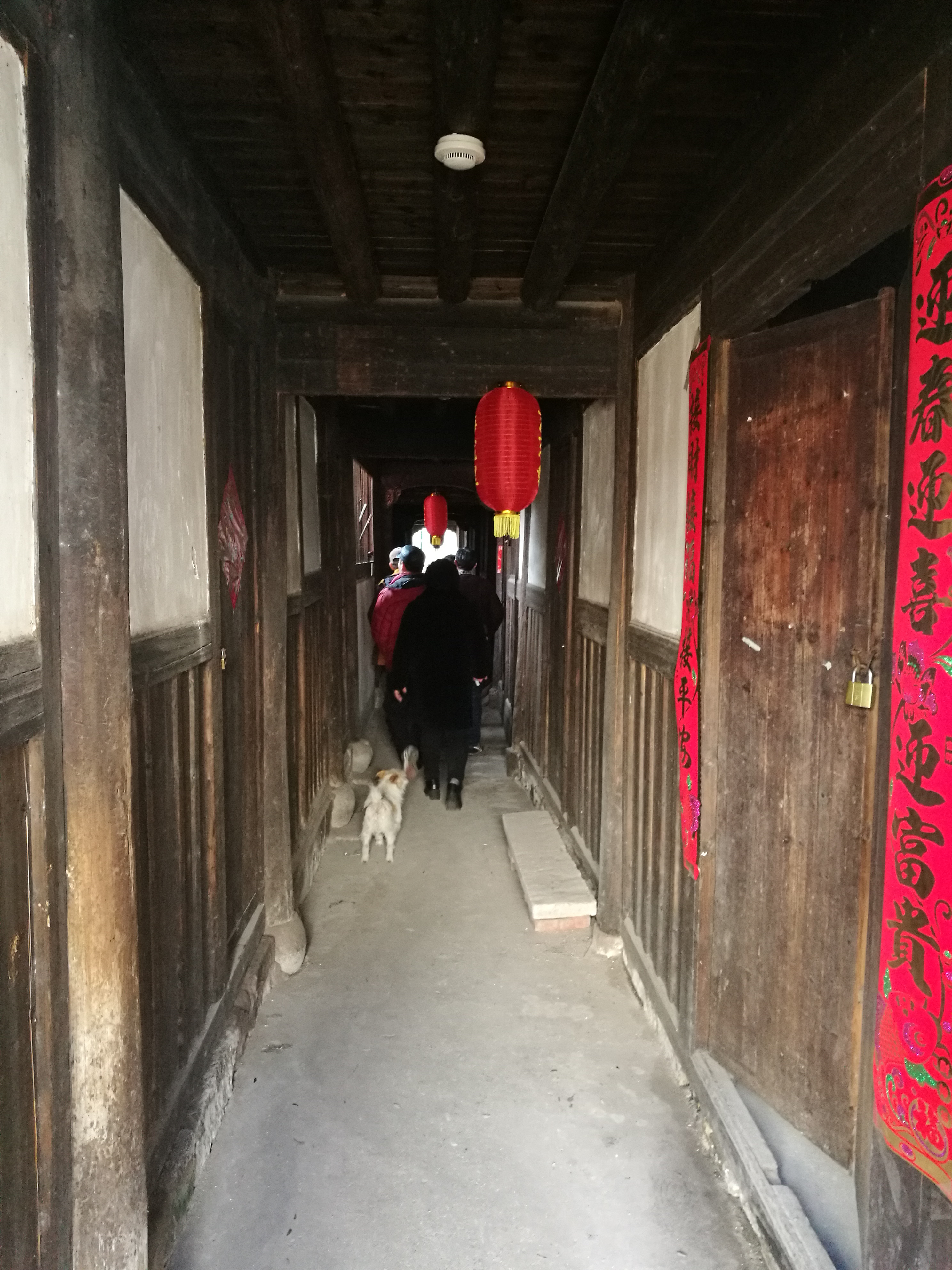 乡村振兴故事记录,乡村振兴故事传遍大江