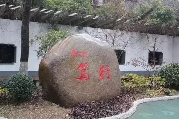 初中大洗牌,南京初中最新排名一览表