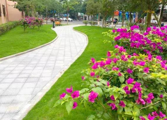 双流新增公园,双流新城区有哪些公园