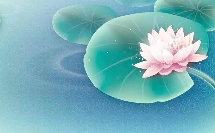 何湛兮:荷花的别名与诗词