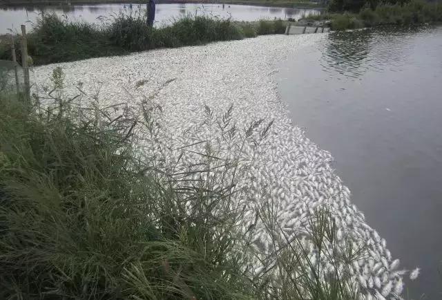 如何应对高温缺氧,高温缺氧怎么办