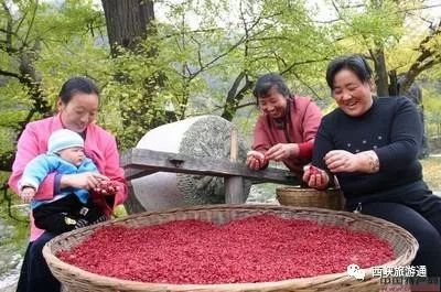 河南省专家组,国家卫健委专家组到郸城调研