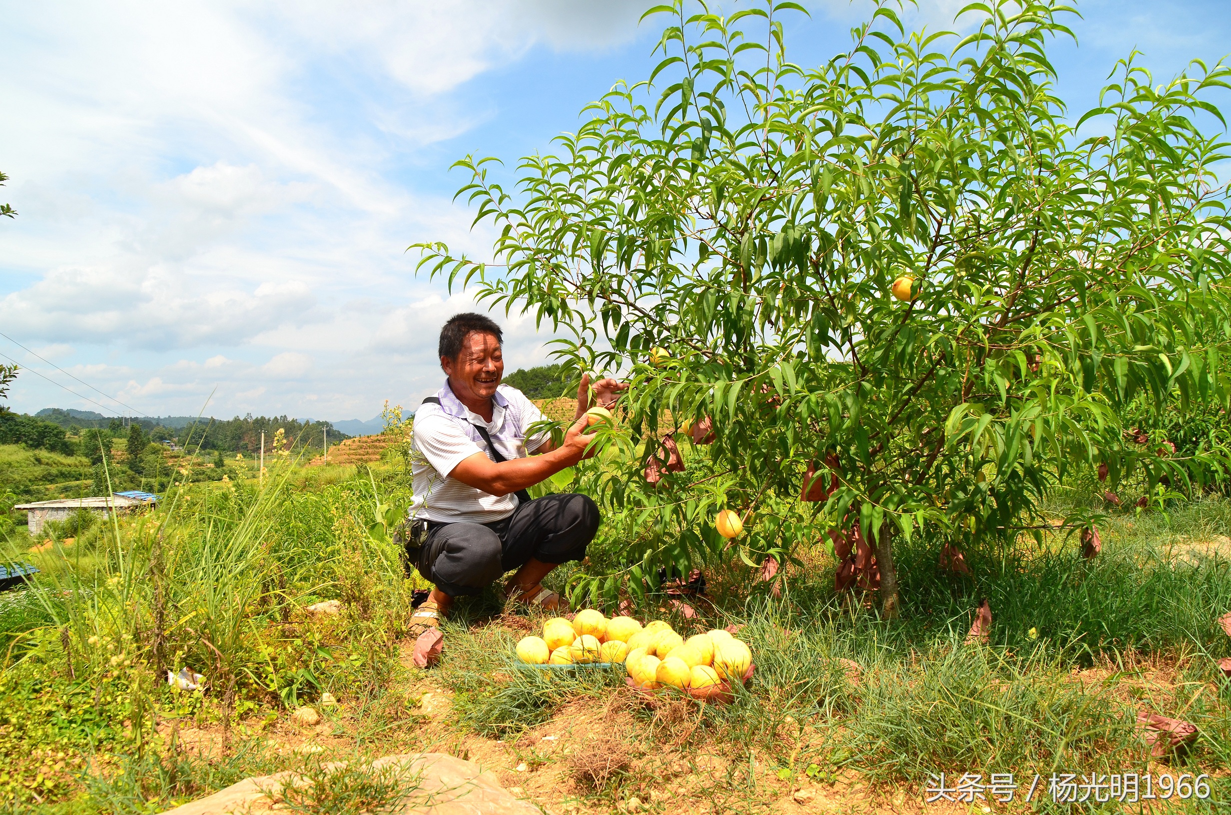 勇啃硬骨头,攻坚克难啃硬骨头的精神