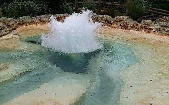 带娃去香港迪士尼必备物品清单,带娃游香港迪士尼