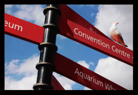 如何调整佳能单反相机参数设置,佳能单反相机基本使用教程