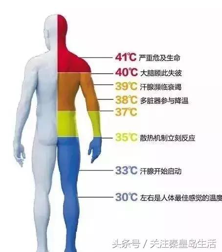 秦皇岛一男子“热死”在路边，到底是怎么回事？