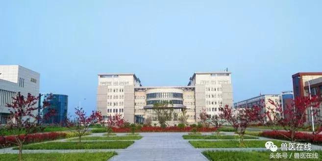 学实用专业不收学费吗,国家补贴免学费专业