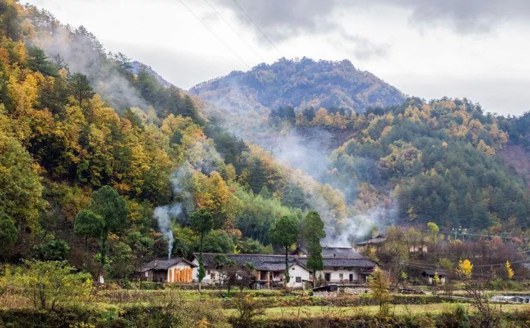 养父2020年最感人的一个真实故事,感人养父故事书单