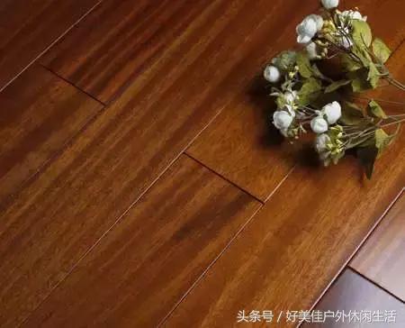 皇太子柚木为什么被称为万木之王,柚木万木之王完整版视频