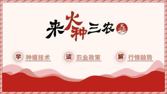 消灭草虫的最好方法,以草灭草