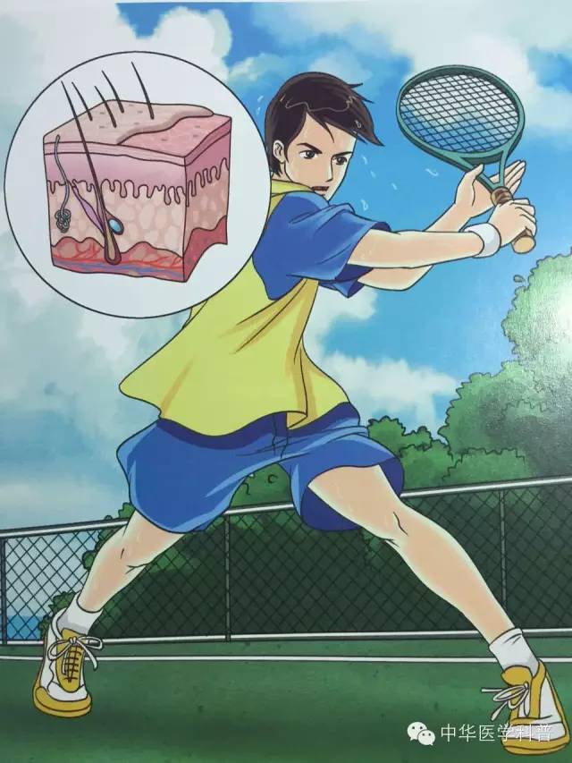 倪海厦中暑急救方法,高温中暑的急救方法