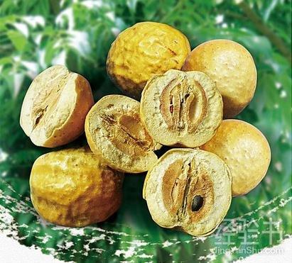 胆囊息肉结石中药治疗,中医治疗胆囊结石最好的中成药