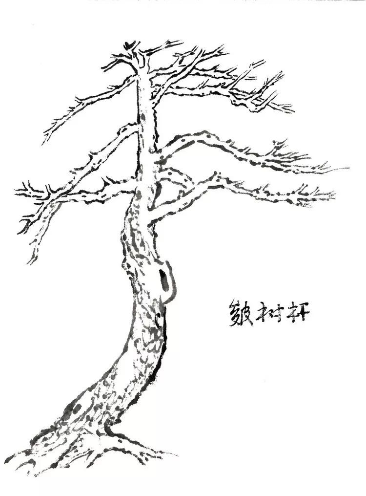 古代松树的画法,迎客松树的画法