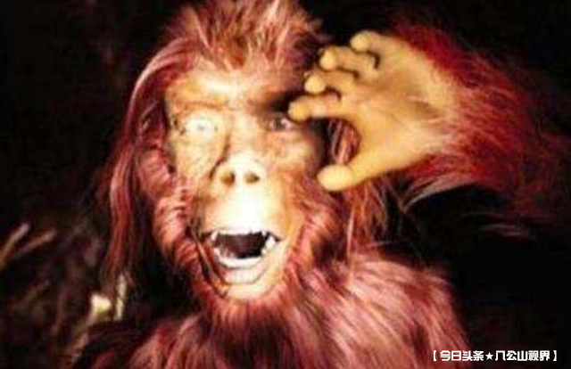 小说野人免费阅读,野人小说大全