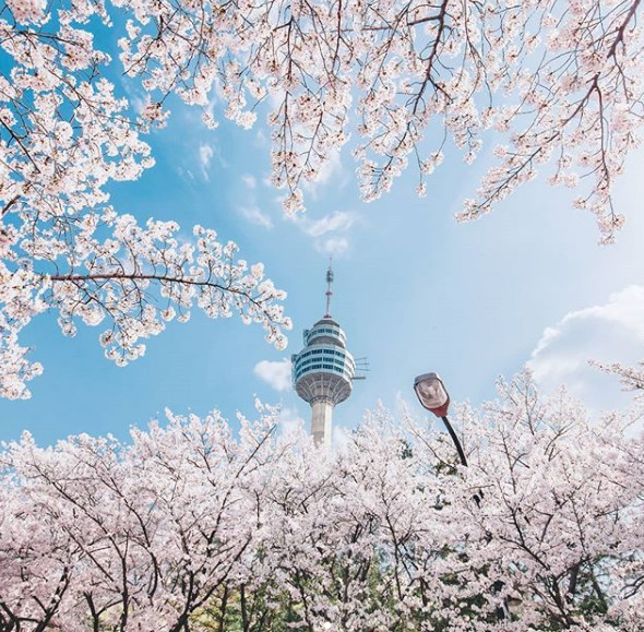 韩妆美学自由行热门攻略,韩国旅游攻略美妆店