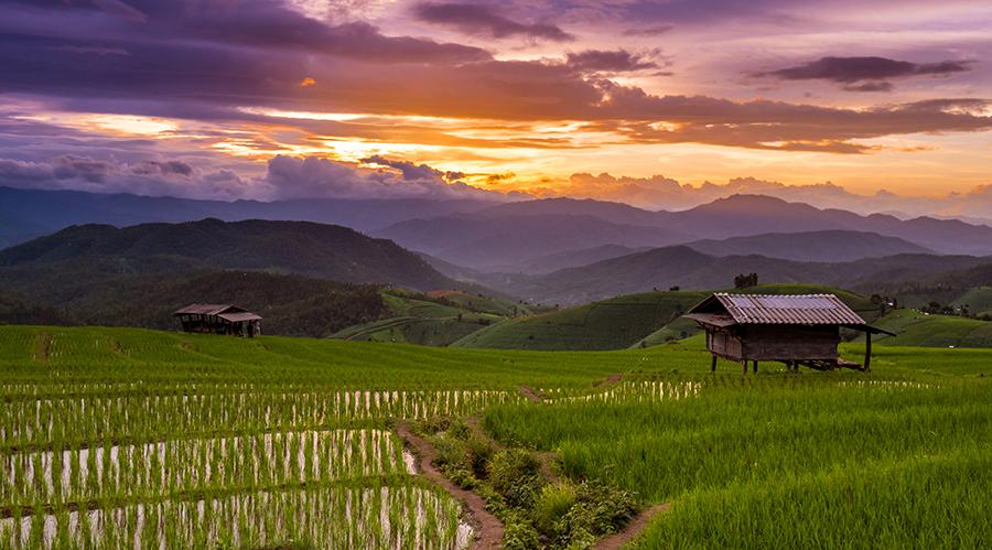 低头族注意啦，玩手机也能导致全球变暖
