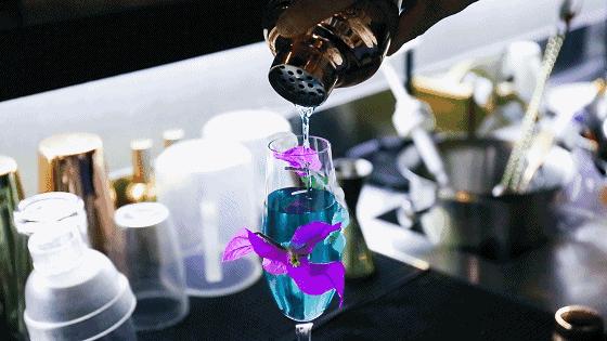 南航女博士,南航网红餐厅