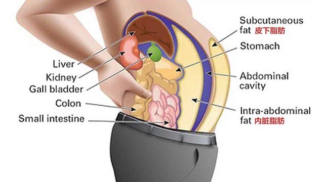 拼团减20,拼团减肥