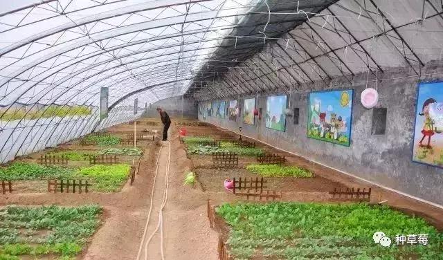 温室大棚120平方米建造价格一览表,温室大棚建造哪里最好