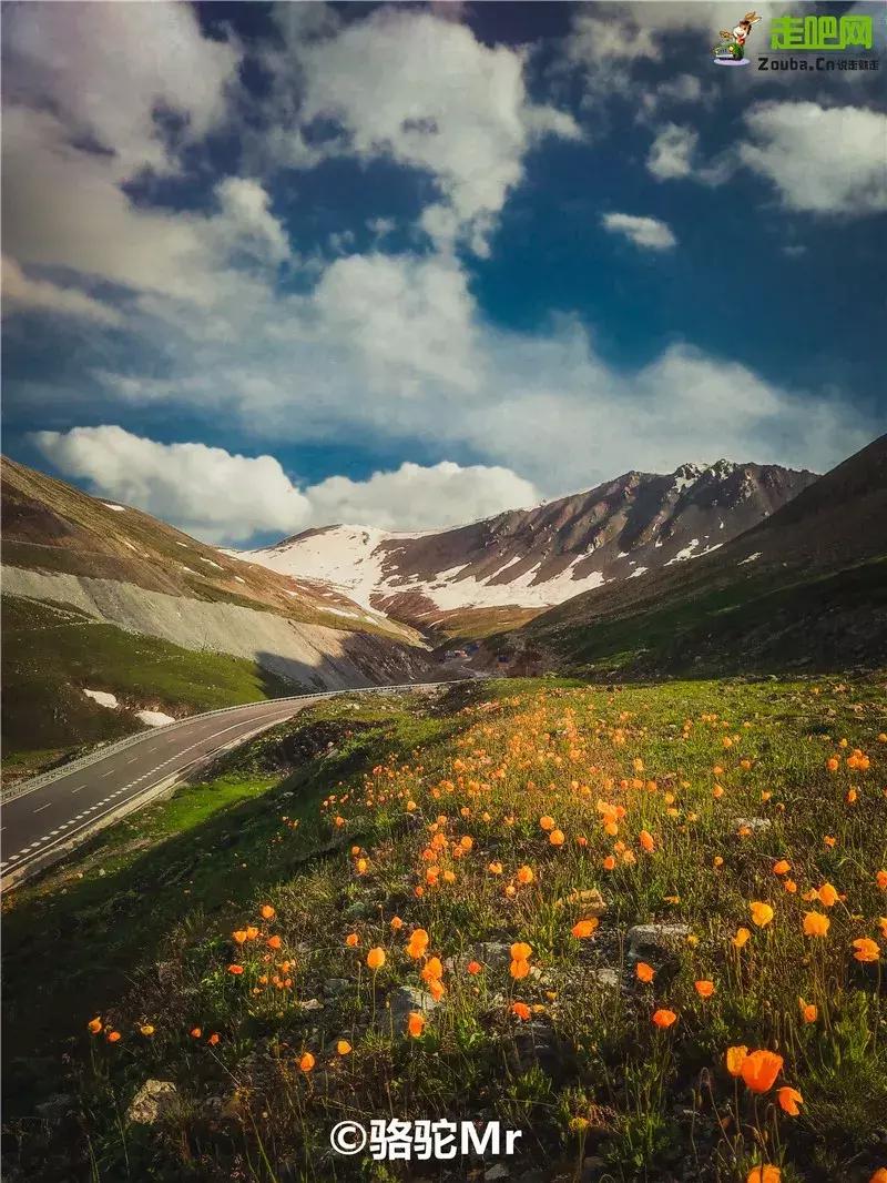 疆北自驾游线路图,全疆大环线自驾游最佳路线