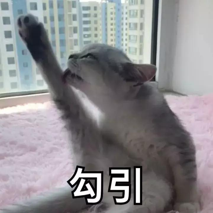 金秘书衬衫穿搭,金秘书为何那样半身裙穿搭