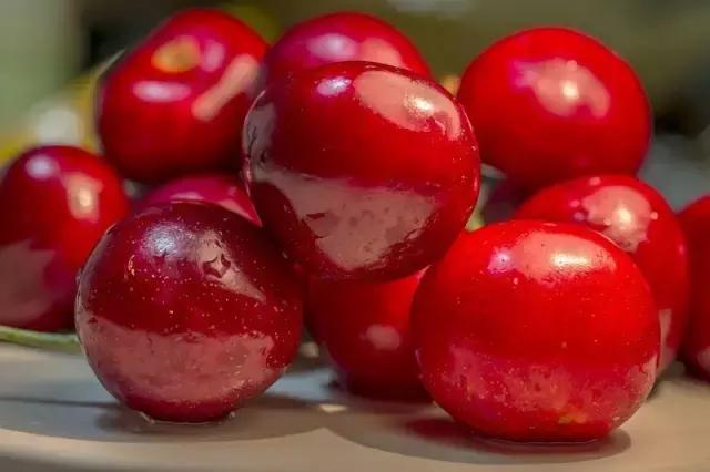 君凯商联网,君凯特产商城