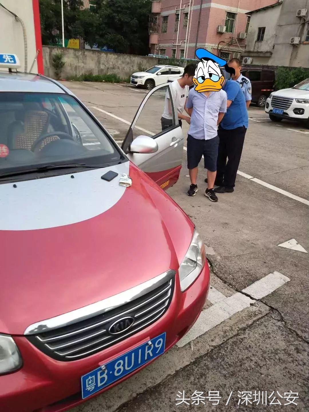 怎样能快速查到出租车的牌照,出租车牌怎么辨别真假