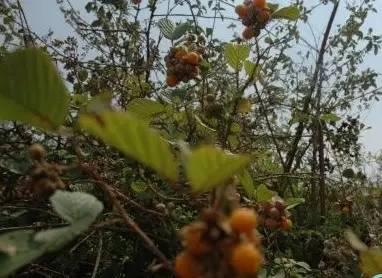 南阳人还去什么医院?你脚底下就是药房!