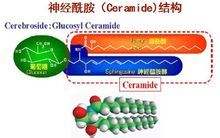 大牌护肤品成分解析,大牌护肤品成分分析