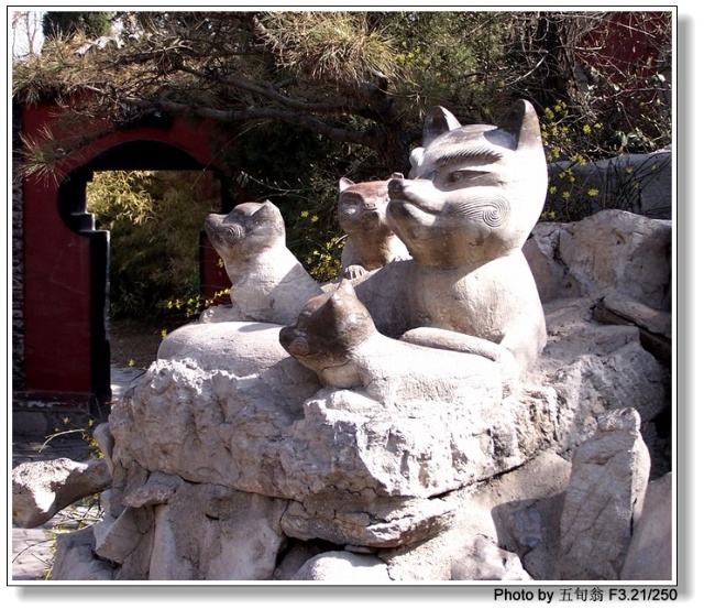 山东最有历史文化的地方,山东好看又有历史文化底蕴的美景