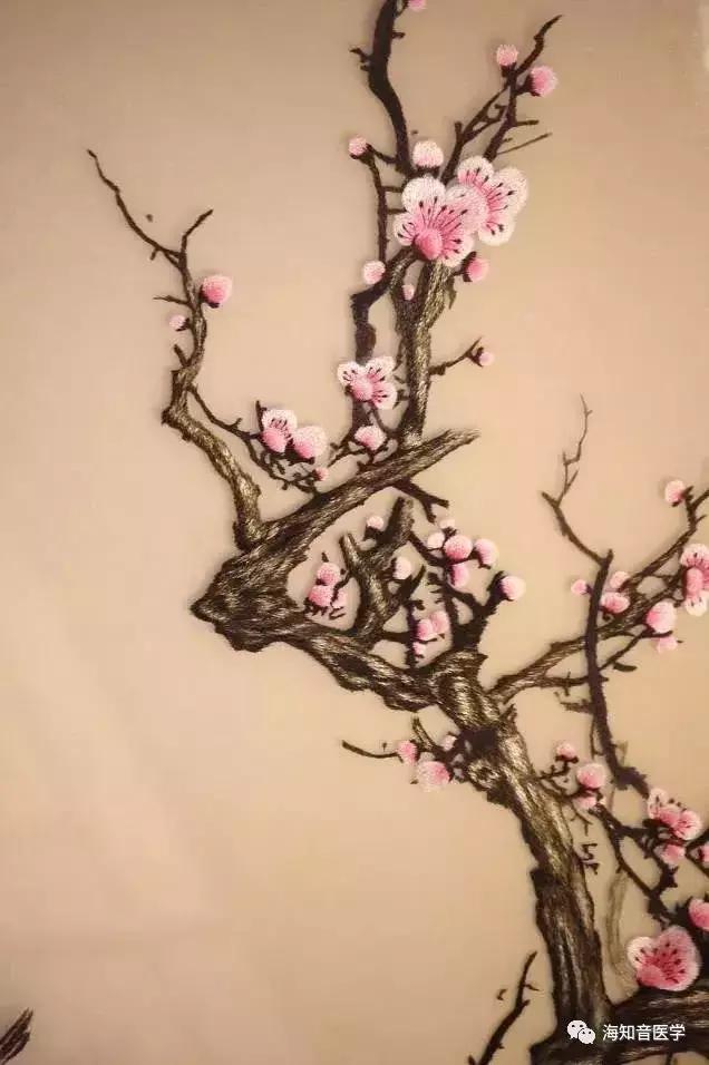 醉美中国——江苏