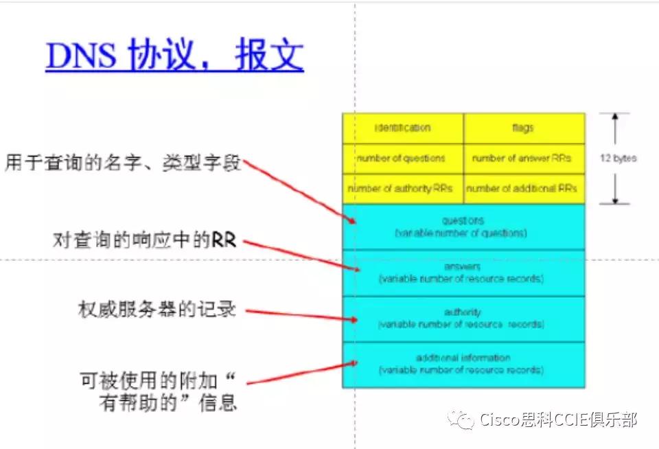 网络基础知识和名词解释,网络技术复习资料