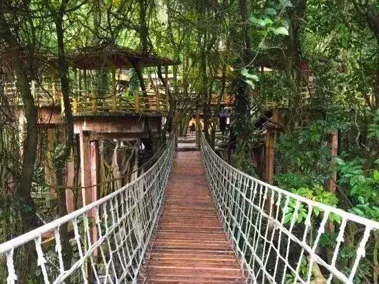 避暑胜地深圳附近,深圳热天避暑游玩