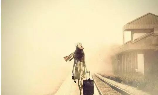 龙应台目送摘抄,龙应台目送正版书籍