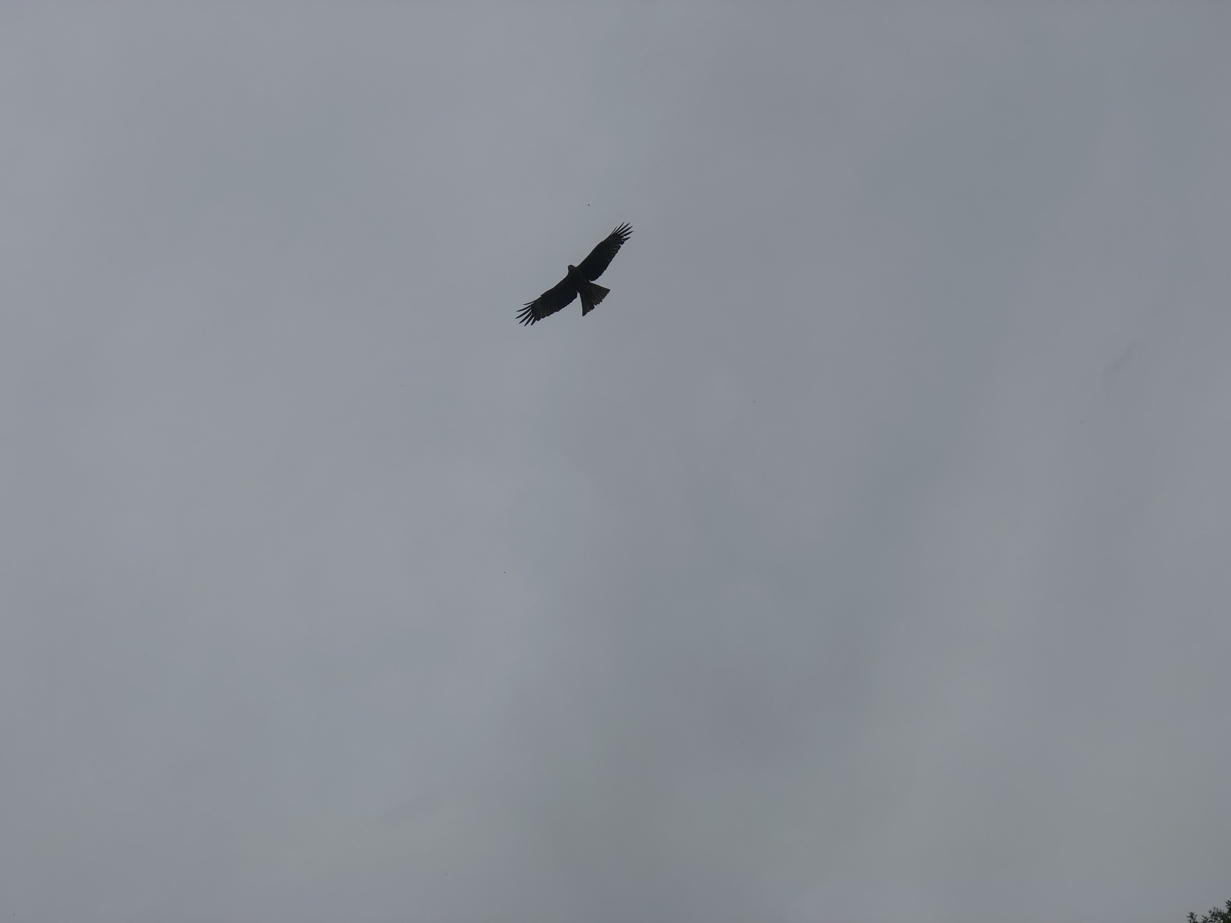 乌鲁木齐到索尔巴斯陶怎么走,索尔巴斯陶避暑