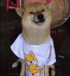 深圳足球公园免费开放,深圳南山免费足球场