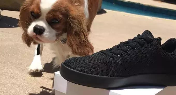 穿鞋不能将就，它推出了1/4尺码的鞋！