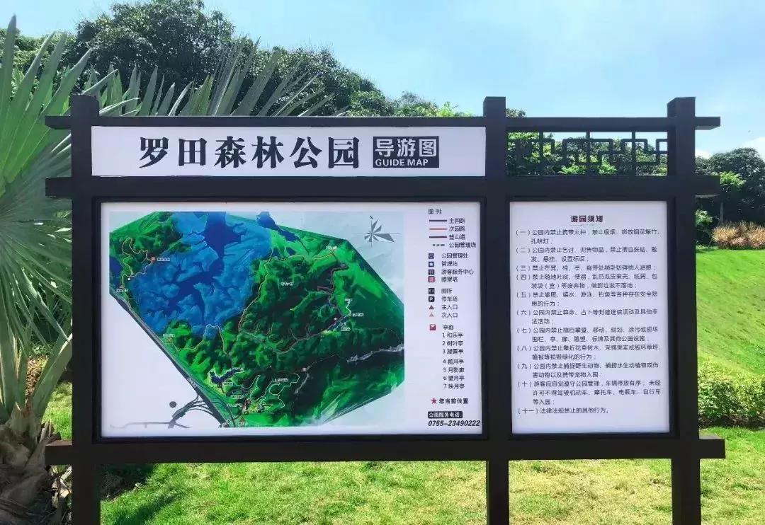 深圳足球公园免费开放,深圳新的草地公园