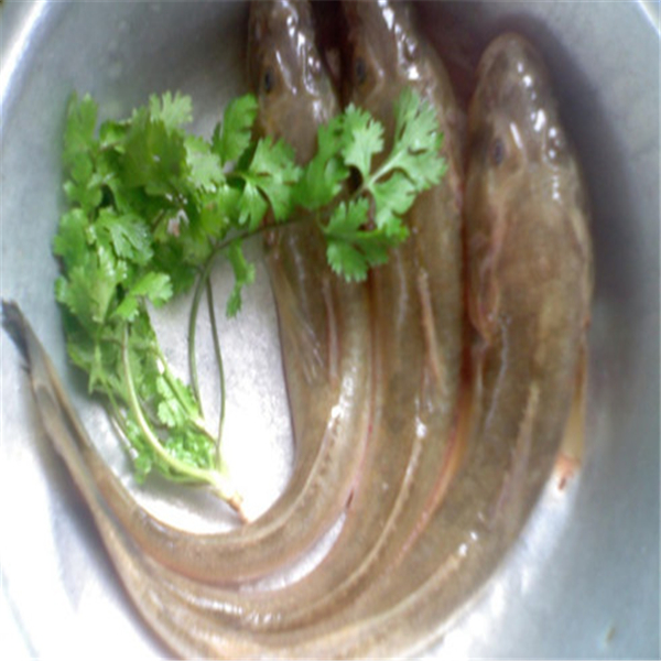 连云港特产云雾红茶,连云港特产无盐虾皮